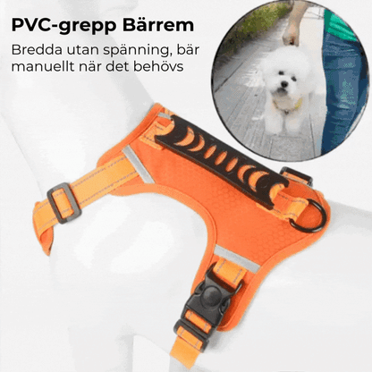 PROFFSIG HUNDSELE