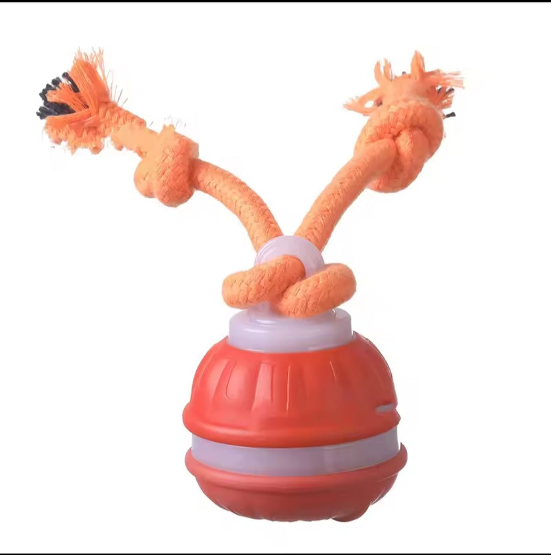 Interaktiv boll för hundar