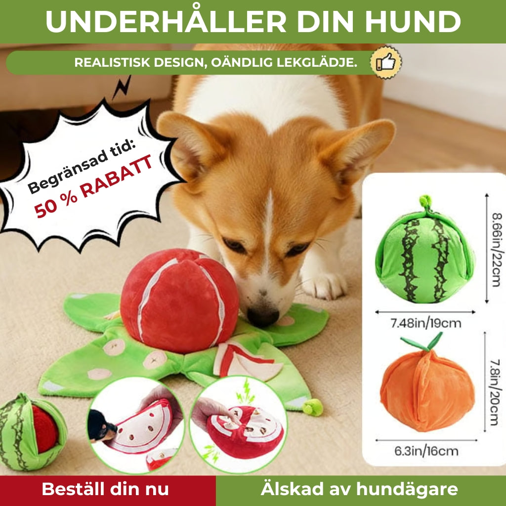 Hundleksak med smart Belöning