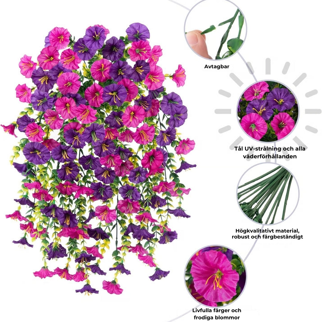 Morning Glory (Ipomoea tricolor)| UV-Beständig
