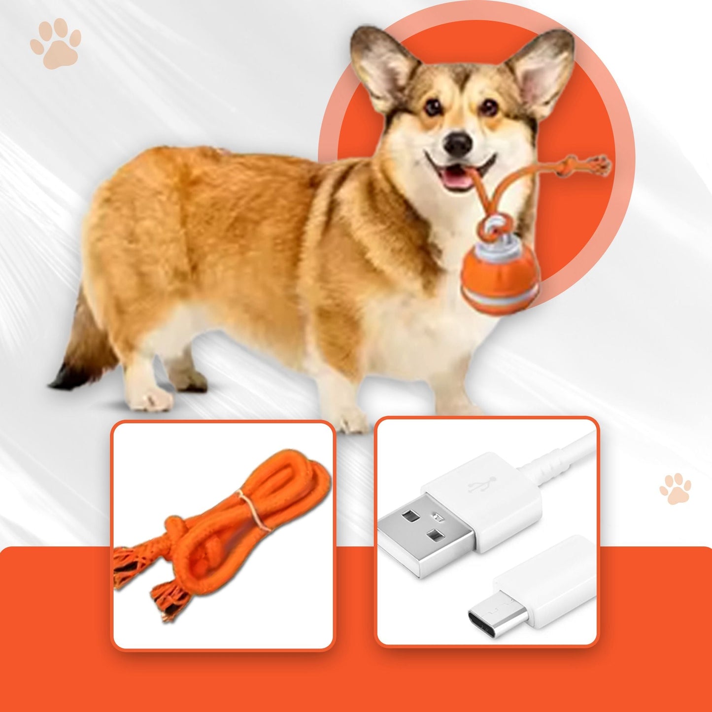 Interaktiv boll för hundar