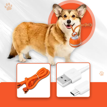 Interaktiv boll för hundar