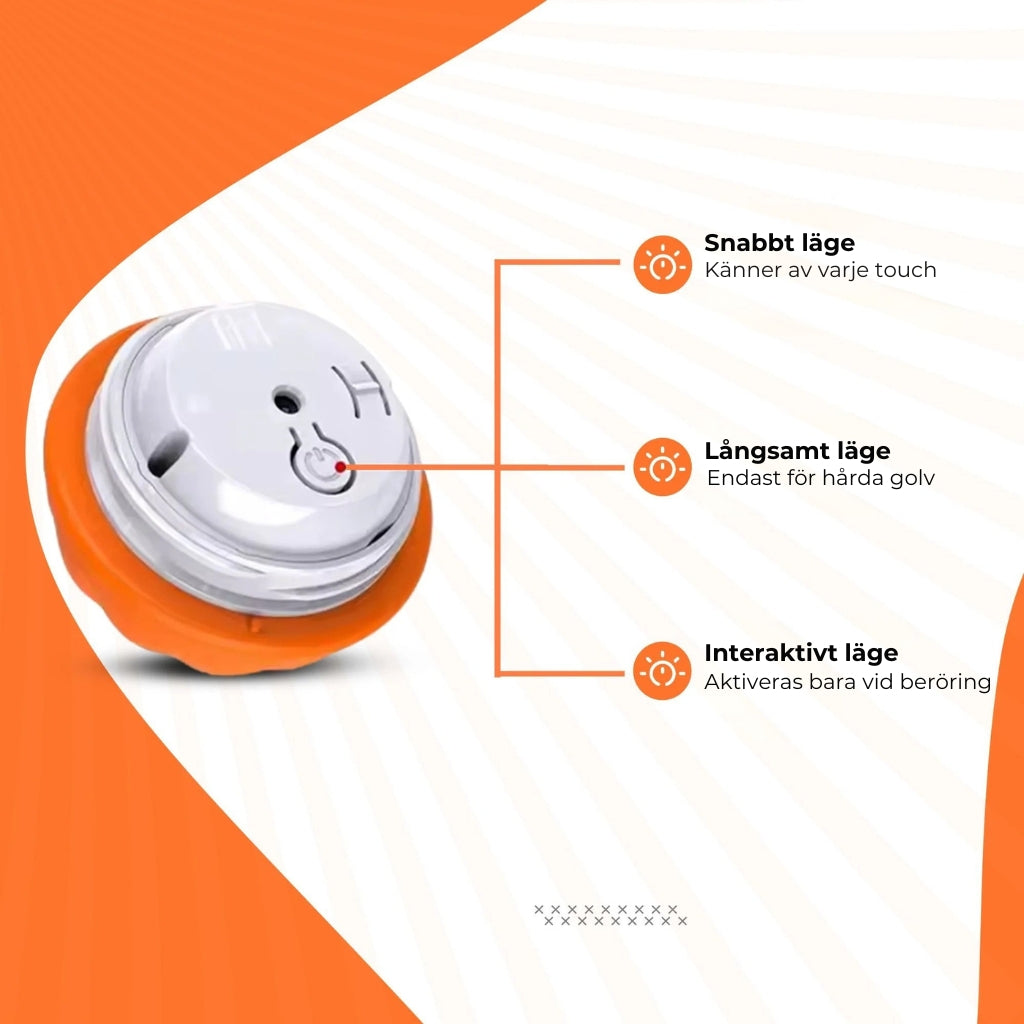 Interaktiv boll för hundar