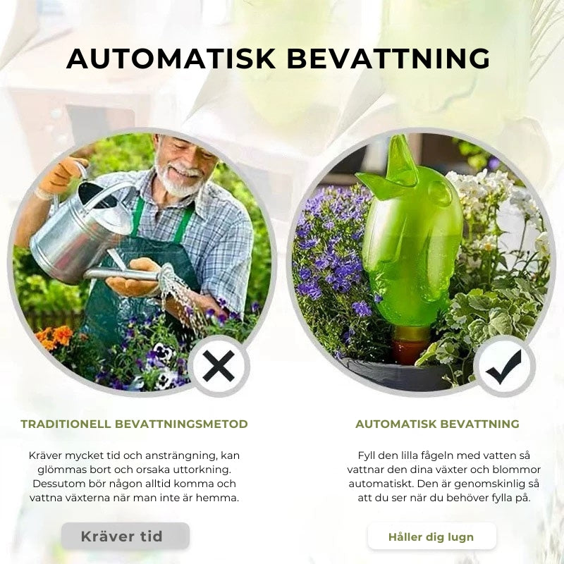 Automatisk bevattning för plantor fågel