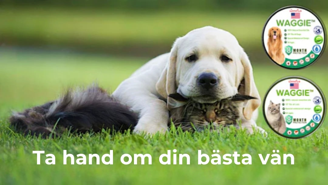 Naturligt halsband mot loppor och fästingar – Waggie™