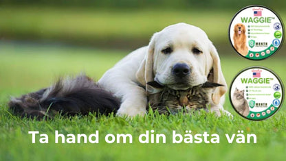 Naturligt halsband mot loppor och fästingar – Waggie™
