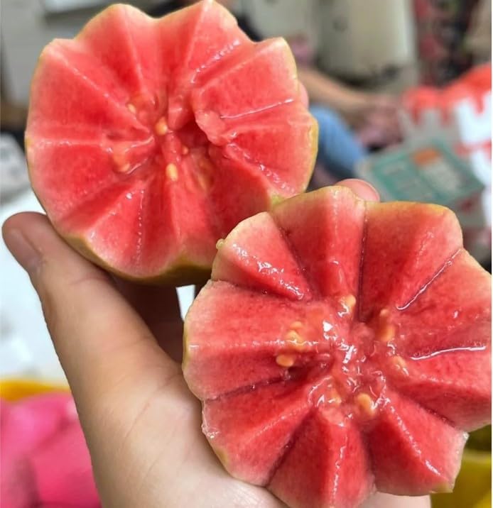 Ekologiska rosa Guava Frön – 60 stycken