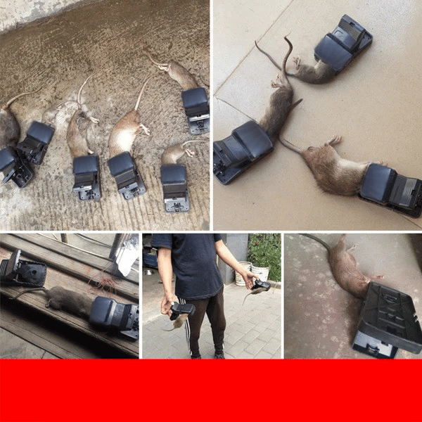 Supereffektiv Musfälla