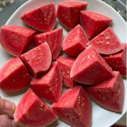 Ekologiska rosa Guava Frön – 60 stycken