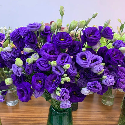 Eustoma – tagglösa rosor – frön (100 st) 💐