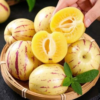 Pepino-melonfröblandning – 1000 stycken