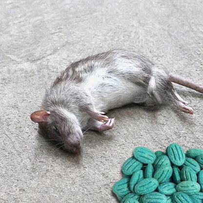 Kraftfullt gnagargift (Ekologiskt)