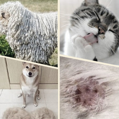 Dubbelsidig borste för husdjur