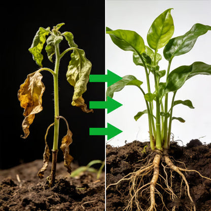 Soil Pro Activator – Jordförbättringsmedel för frisk växtlighet