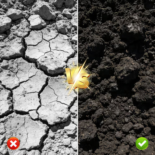 Soil Pro Activator – Jordförbättringsmedel för frisk växtlighet
